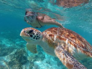 Southeastern Caribbean Isles: Tortola, Guadeloupe, Barbados, St. Lucia & Antigua on Virgin Voyages
